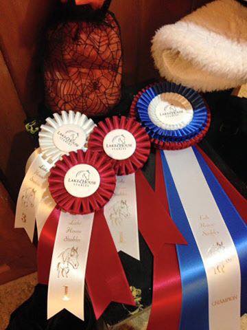 Fun, showing,  shopping and more at the LHS Schooling show!